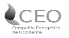 Logotipo de CEO